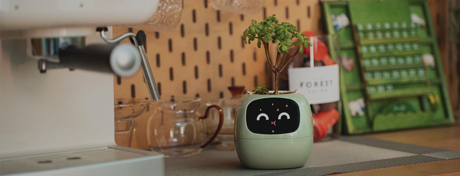 Smart planter robot-plants robot