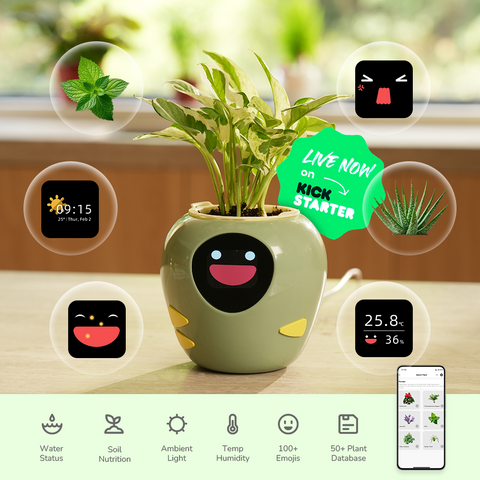 Smart Pet Planter - Plantbot