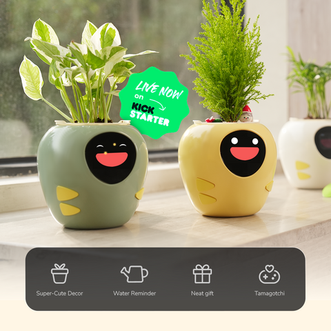 Smart Pet Planter - Plantbot