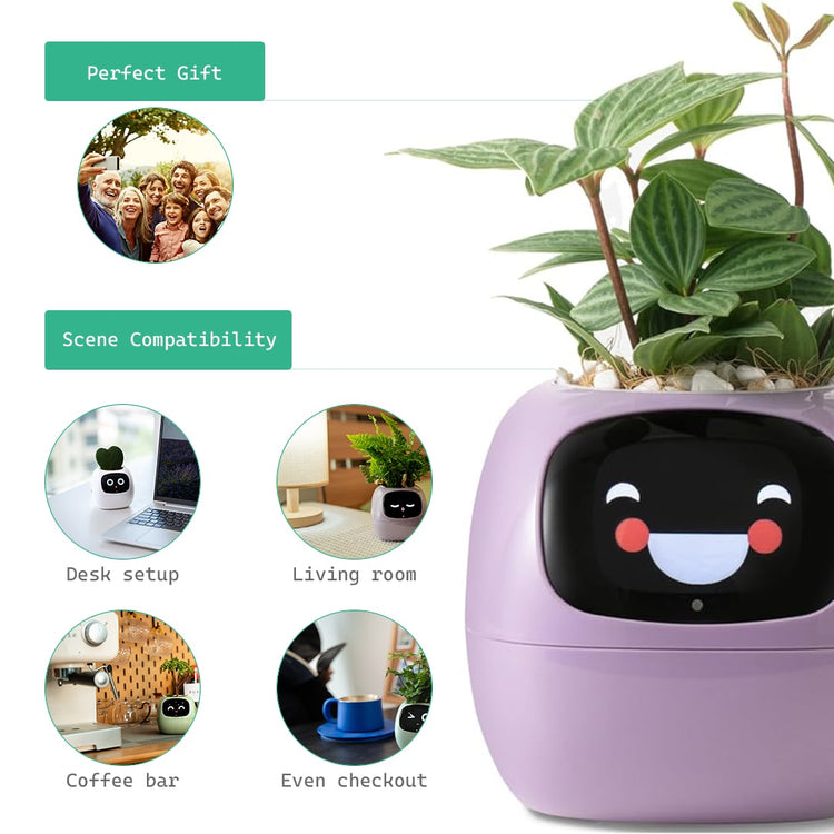 Smart planter robot gift-plants robot