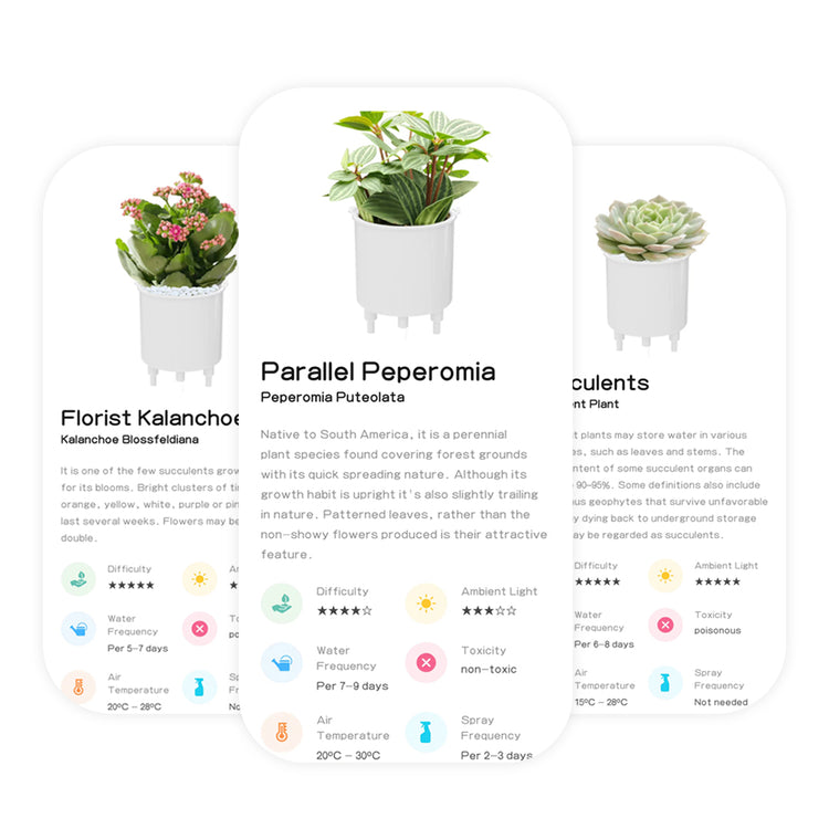 Smart planter robot plant-plants robot