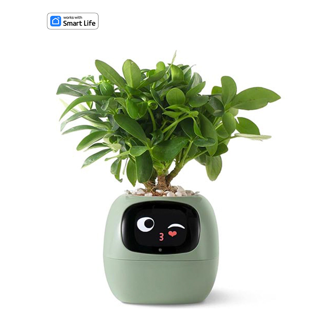 Smart planter robot green-plants robot