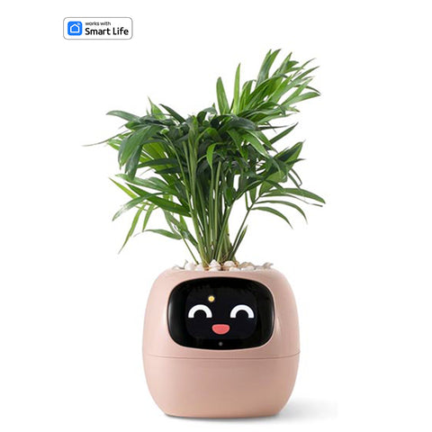 Smart planter robot pink-plants robot