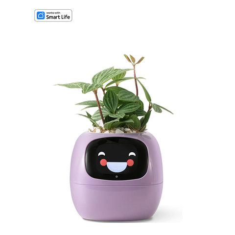 Smart planter robot purple-plants robot