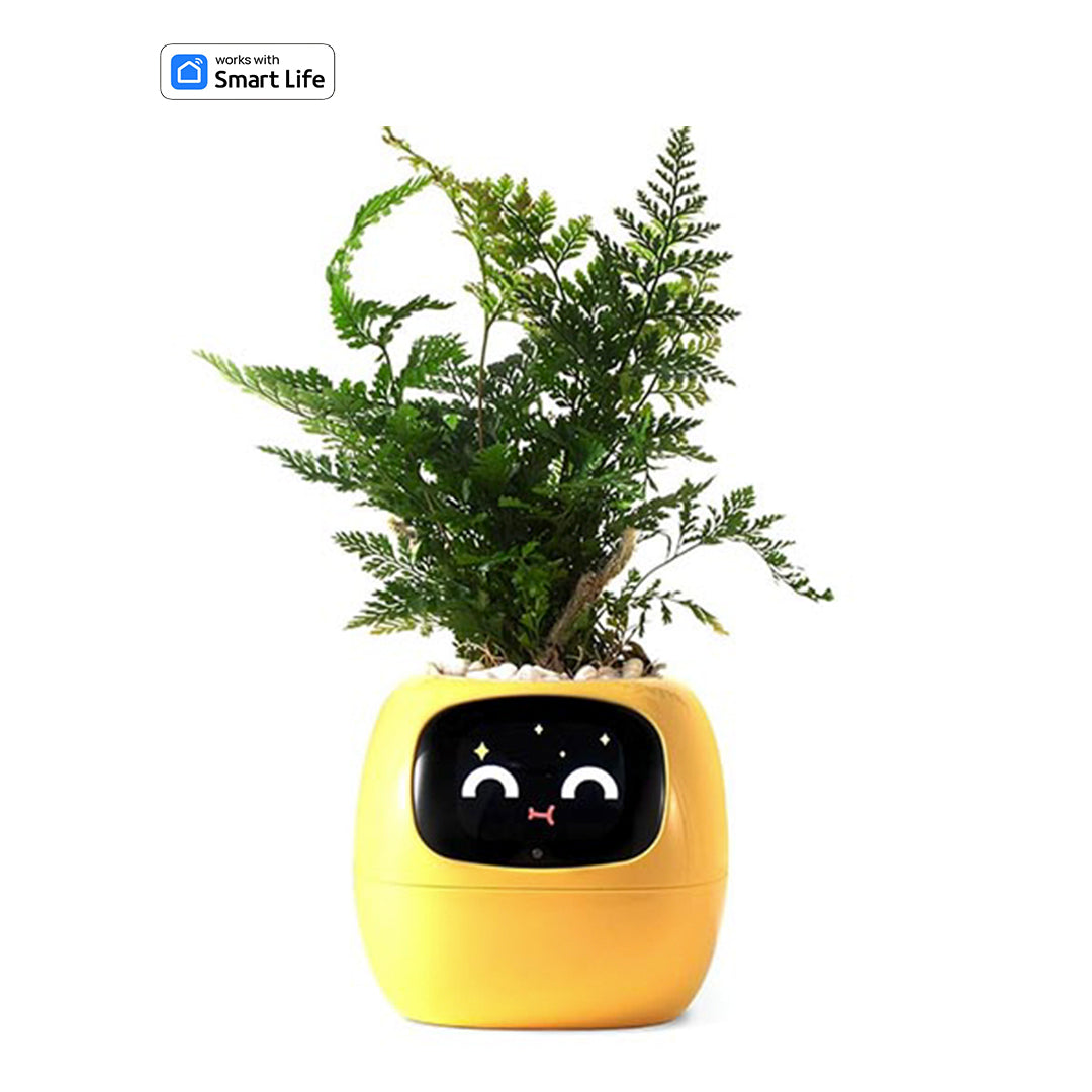 Smart planter robot yellow-plants robot